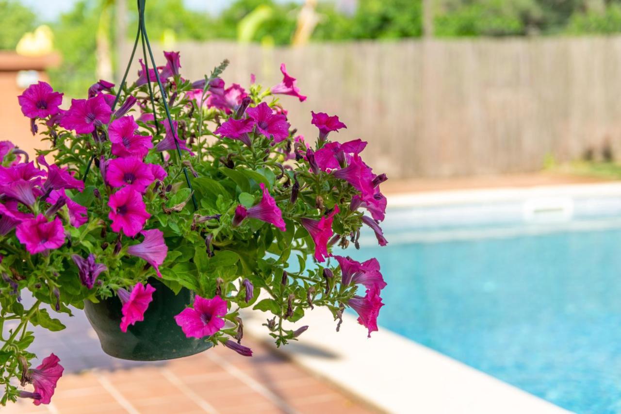 Can Fiolet Algaida  Ngoại thất bức ảnh